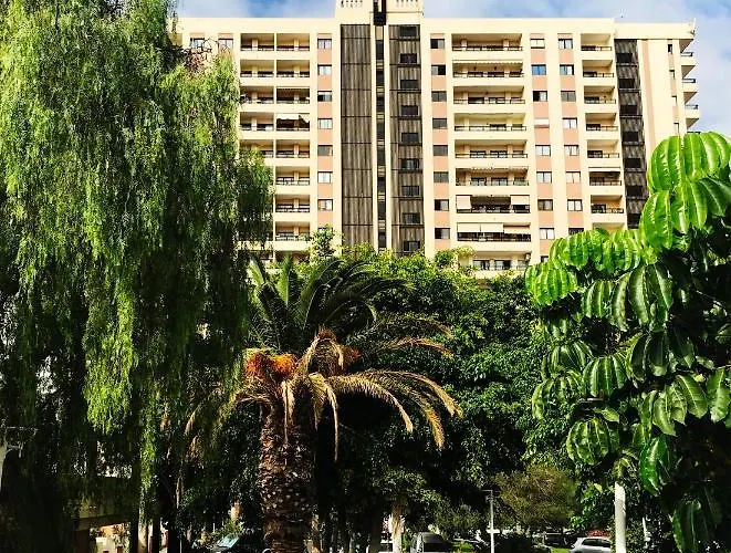 Viparaiso أذيخي